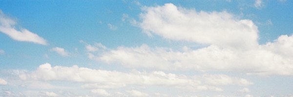 NamiZelmon Profile Banner