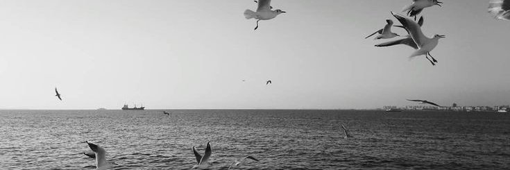 َ banner