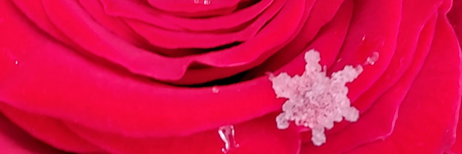regeslawless's profile banner image