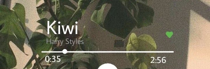 fennerlizzy's profile banner image