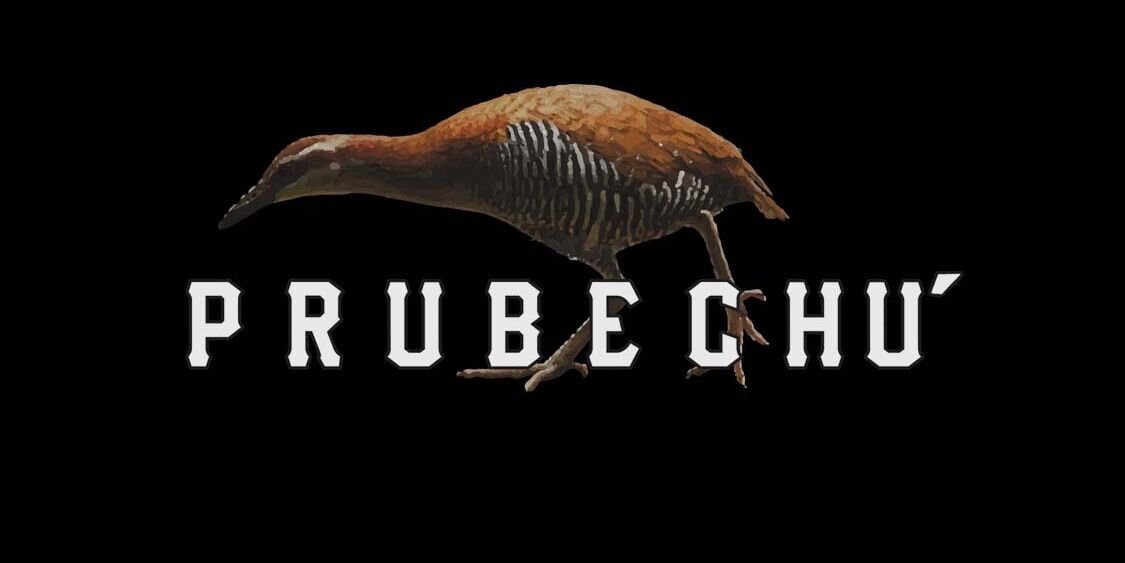 Restaurant Prubechu banner