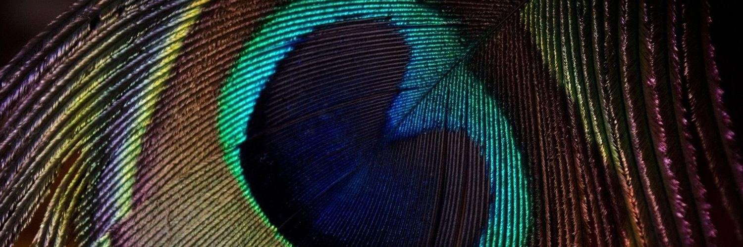 CitizenFoxSF's profile banner image
