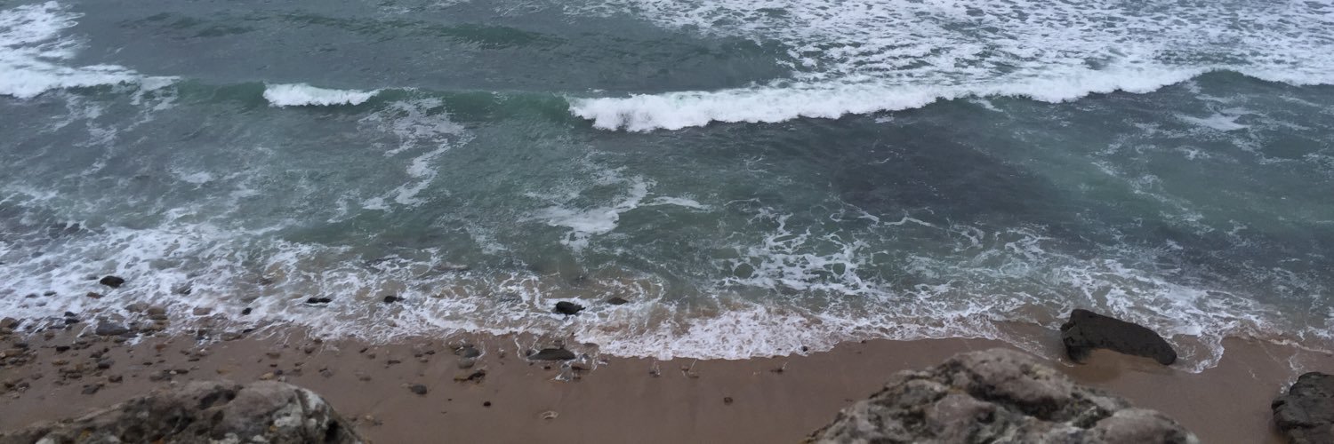 catarinahampton's profile banner image