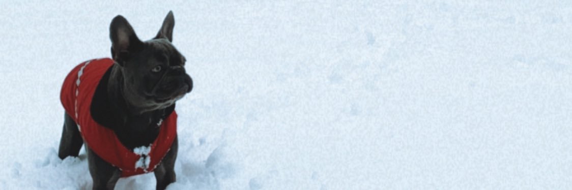 cassidygarbutt4's profile banner image