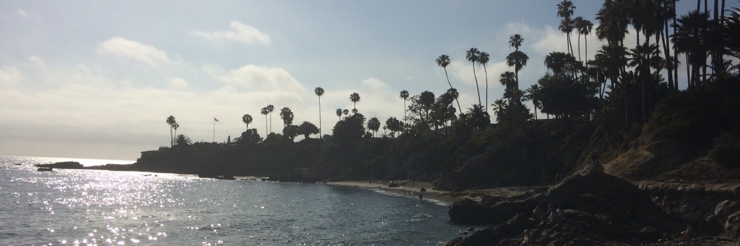 lapalmer8's profile banner image