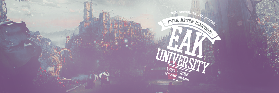 EverAfterKingdo's profile banner image