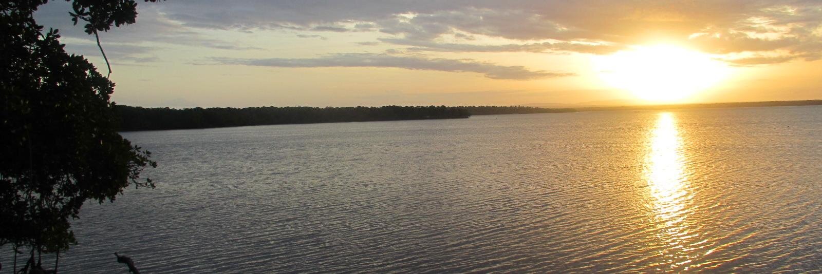 Bertha Jimenez banner