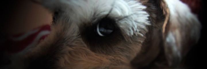 PaDrEsAtA's profile banner image