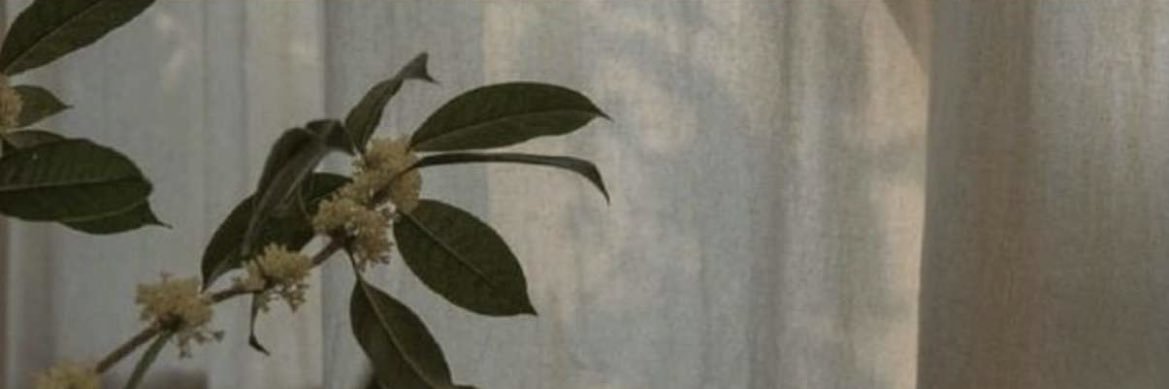 iafnan4's profile banner image