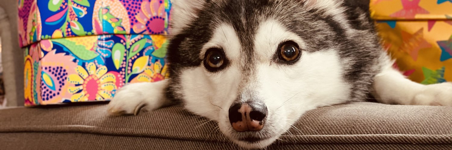 All Yeen’d Up banner