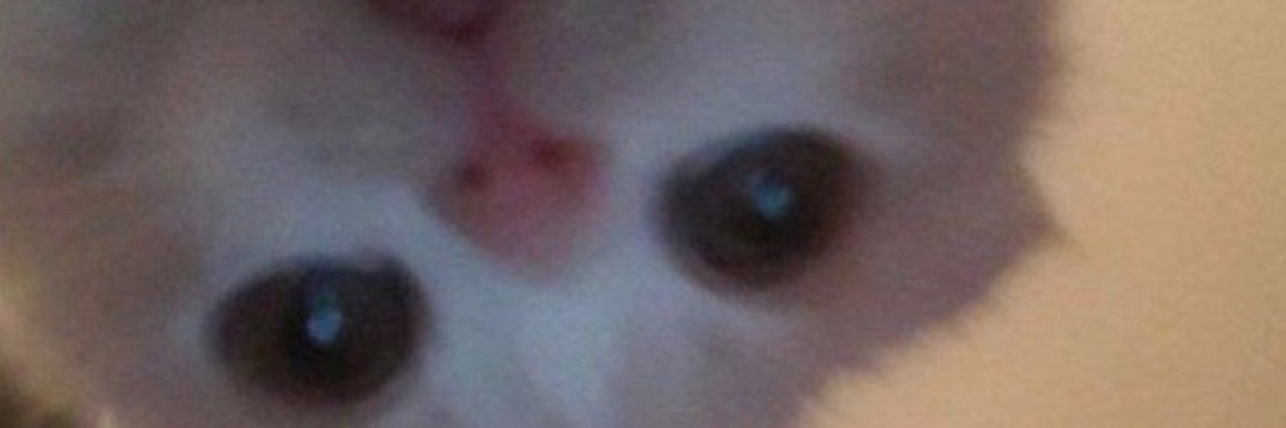 skylertea_pr's profile banner image