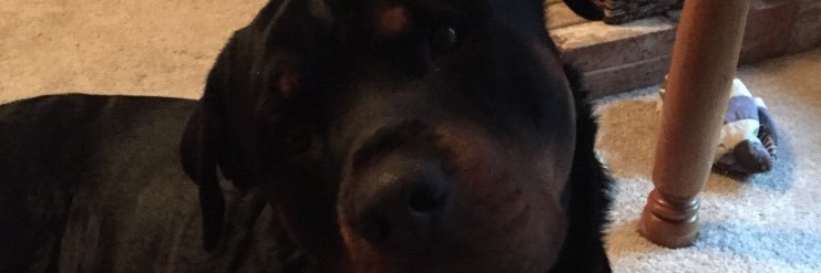 🧟‍♂️ banner