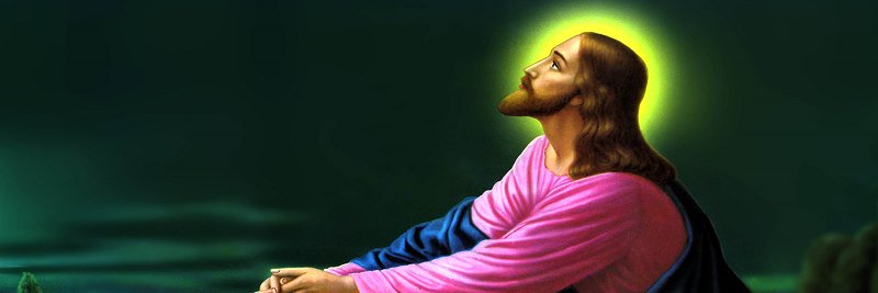 avery97253776's profile banner image