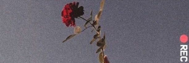 iruuuv's profile banner image