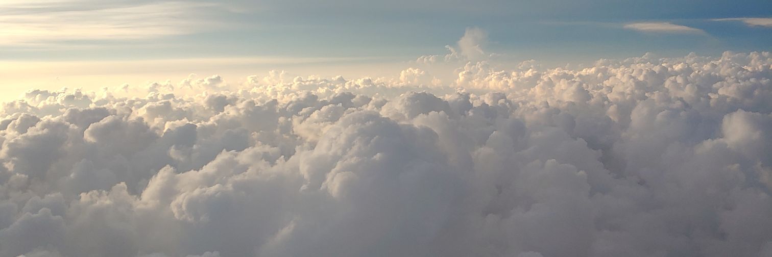 jodyshalane's profile banner image