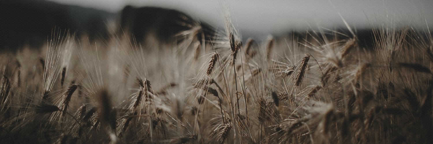 YvesSaintSinner's profile banner image