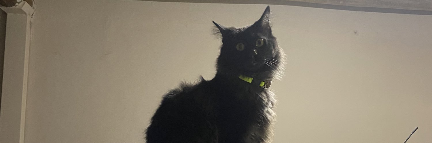 sofiachicon's profile banner image