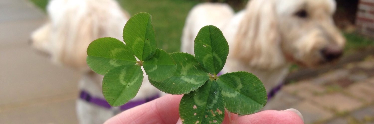 4leafers's profile banner image