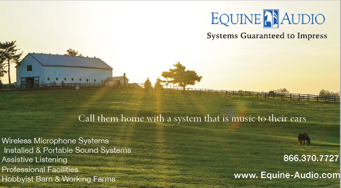 EquineAudio's profile banner image