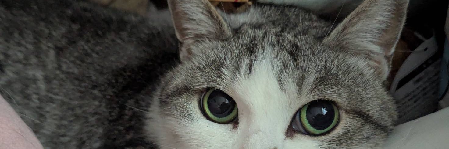 永遠巫夢(とわみこむ)@心の故郷山風 banner