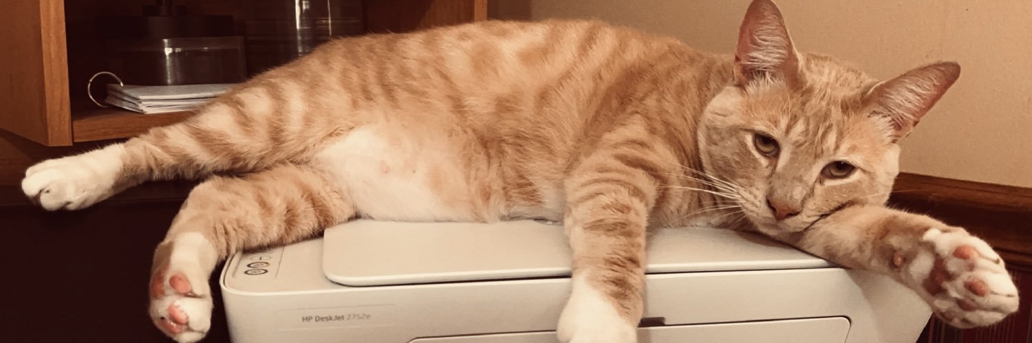 S𝔥𝔢𝔞 B𝔯𝔬𝔴𝔫𝔦𝔫𝔤 banner