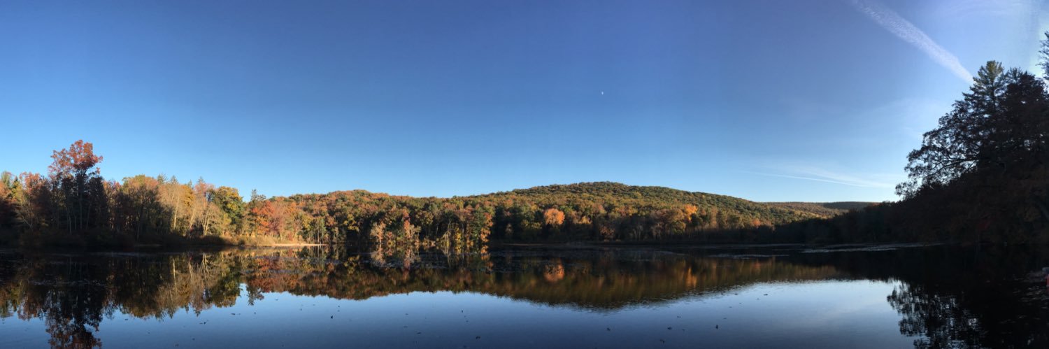 Simiao Li-Sauerwine MD banner