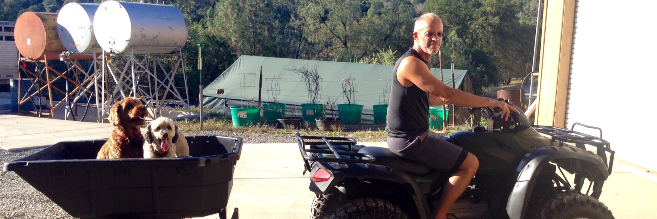 Peter M Caswell banner