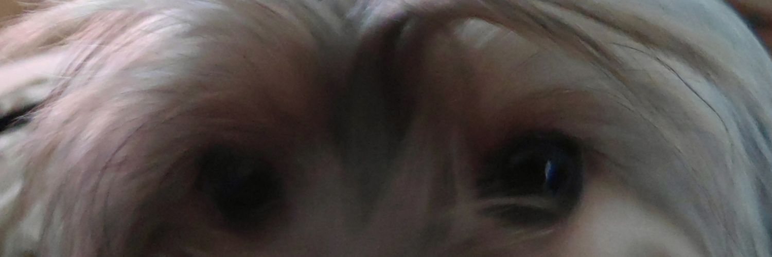 Esteban Mendoza banner