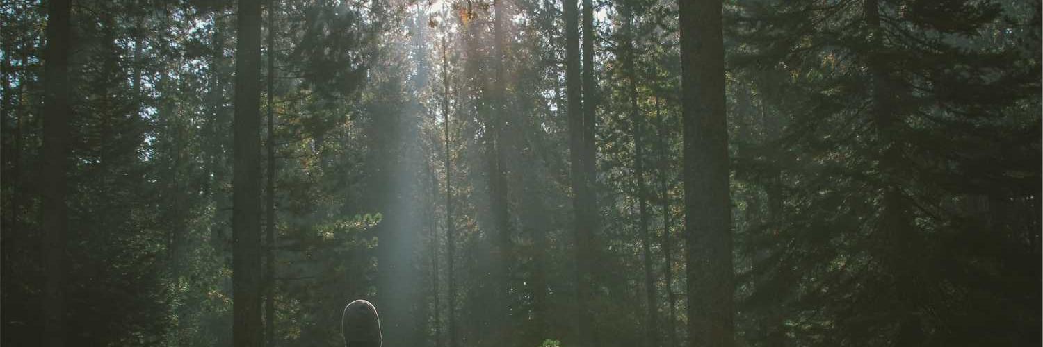 cutlynda's profile banner image