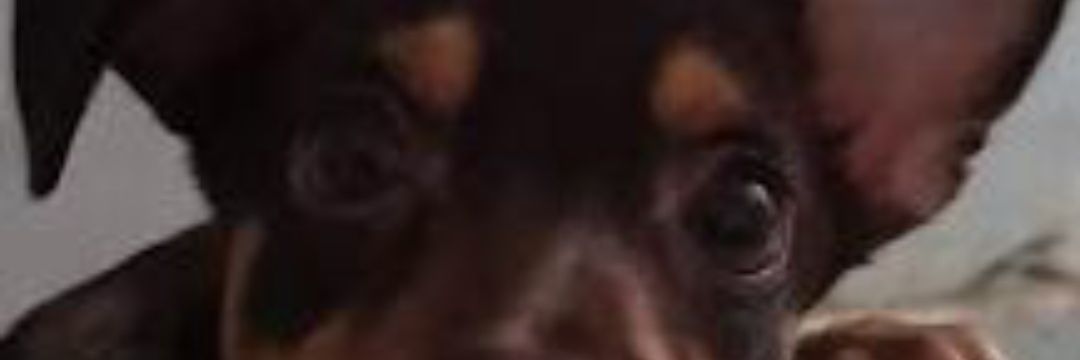 samit1975's profile banner image