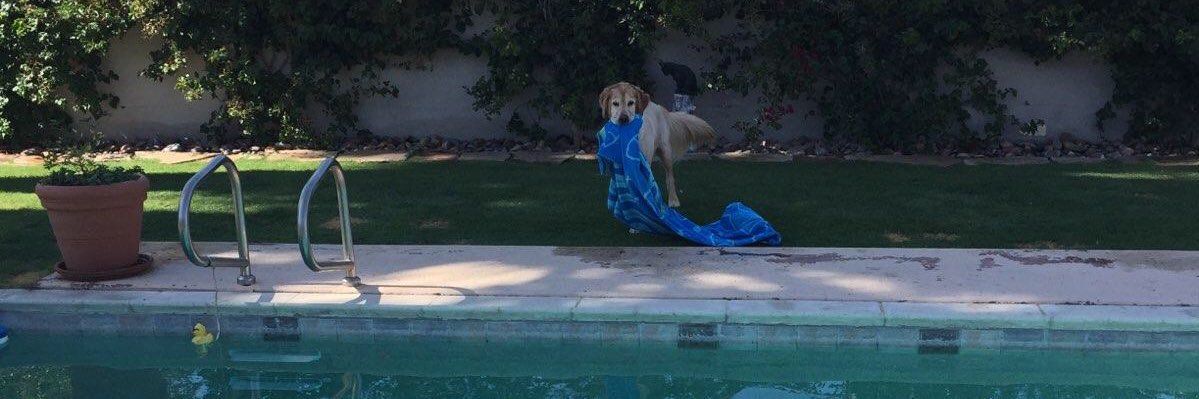 𝙼𝚘𝚞𝚕𝚝𝚘𝚗𝙷𝚊𝚠𝚔 banner