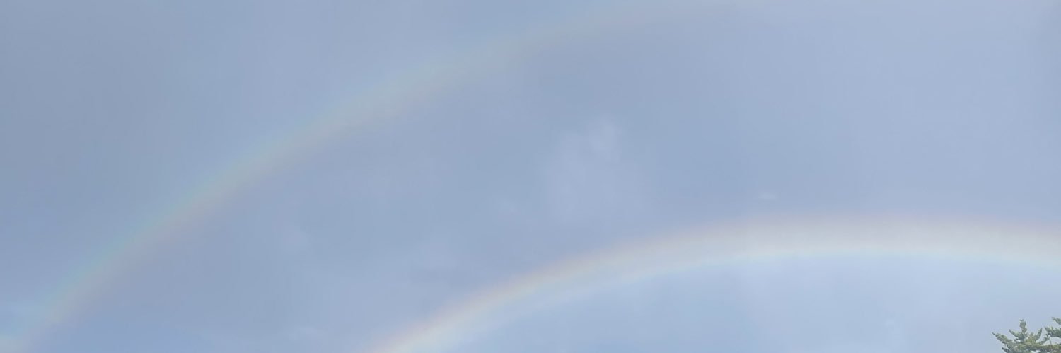 sarafosterr's profile banner image