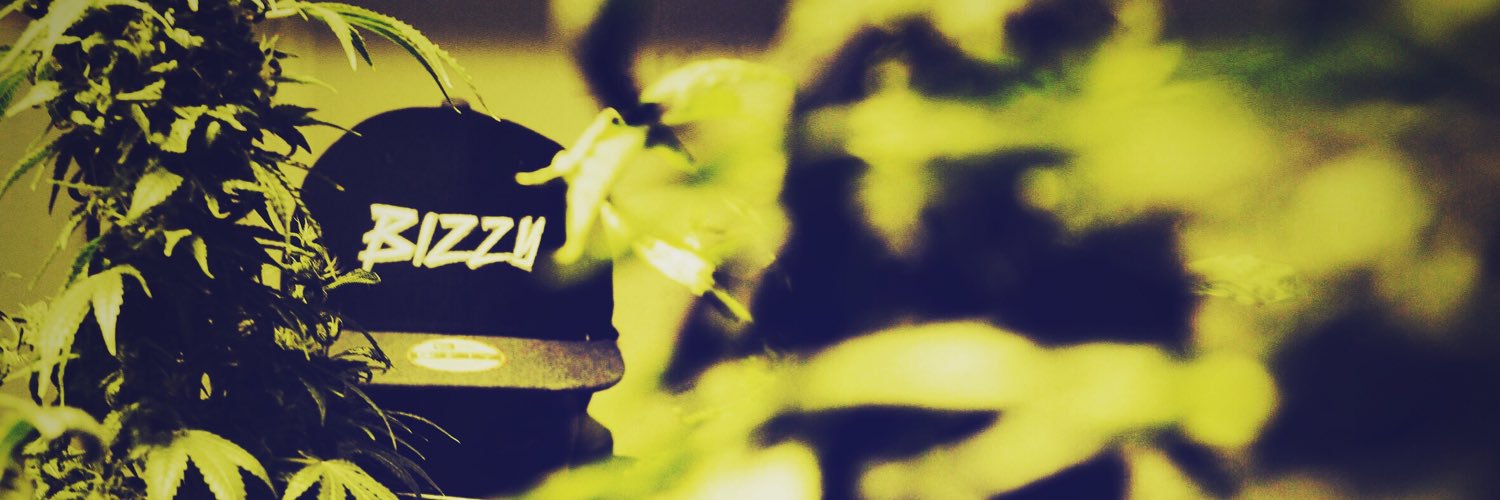 BizzyHard's profile banner image