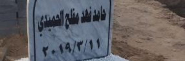 LizQ8's profile banner image