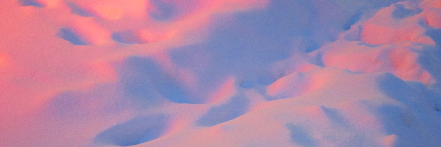 Rixxy ⚡'s banner