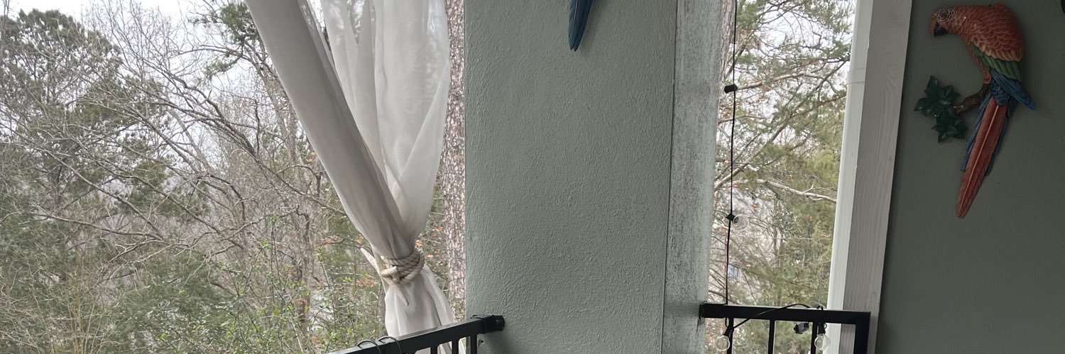 IceCreamBecky's profile banner image