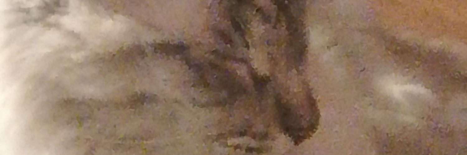 CristianROMUZ's profile banner image