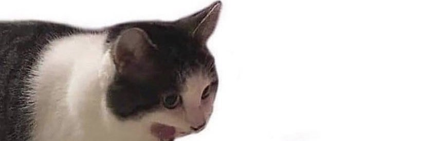 abbyd001's profile banner image