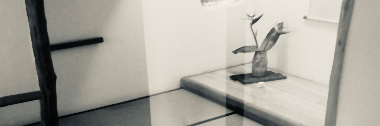 theLILYS's profile banner image