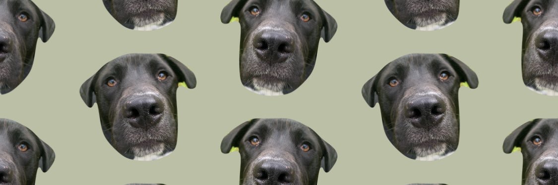 Dev_hemk's profile banner image