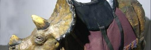 DinosaurSaddle's profile banner image