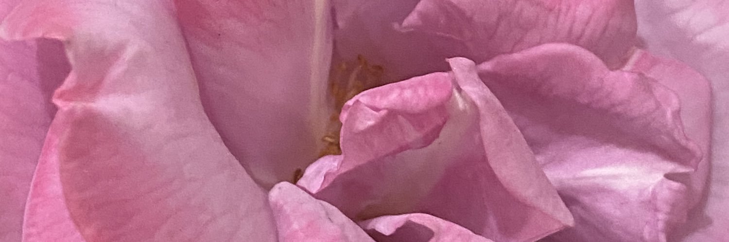 garfield banner
