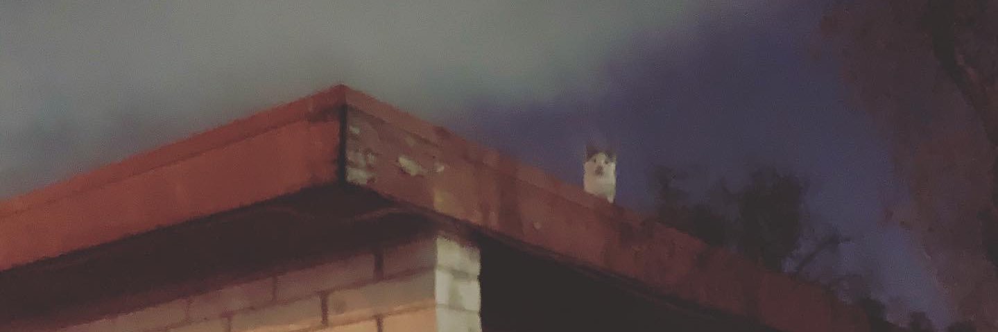 jadopotat0's profile banner image