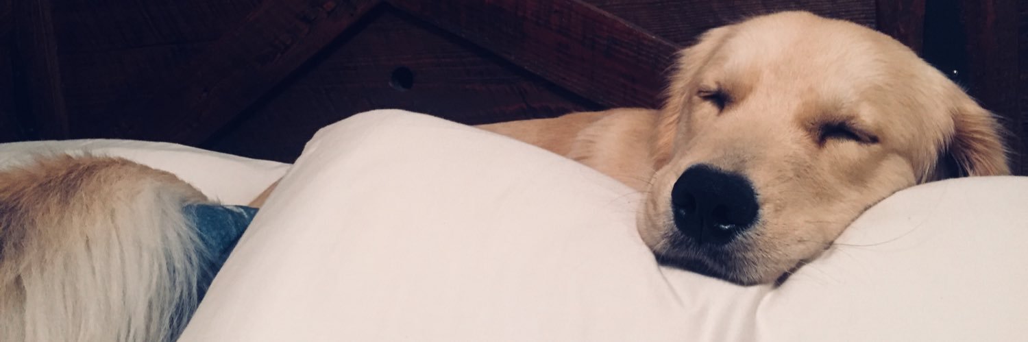 emilyhaley_'s profile banner image