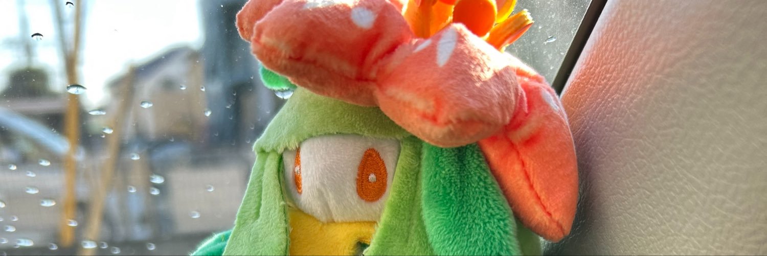 toraotsu_1985's profile banner image