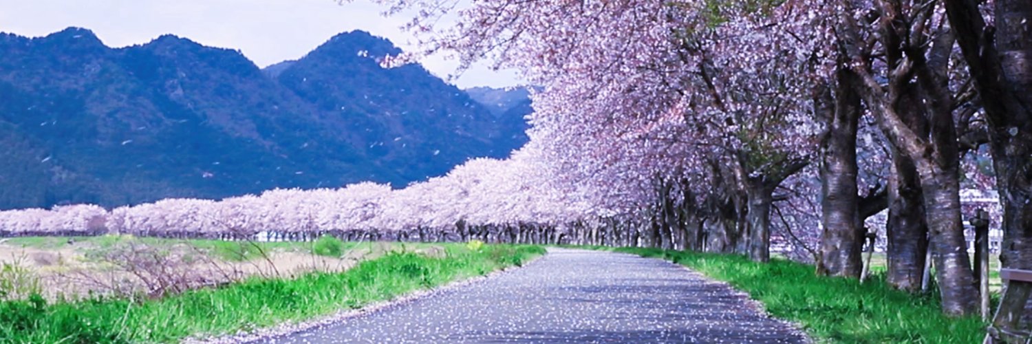 Darkness Stone🍉 banner