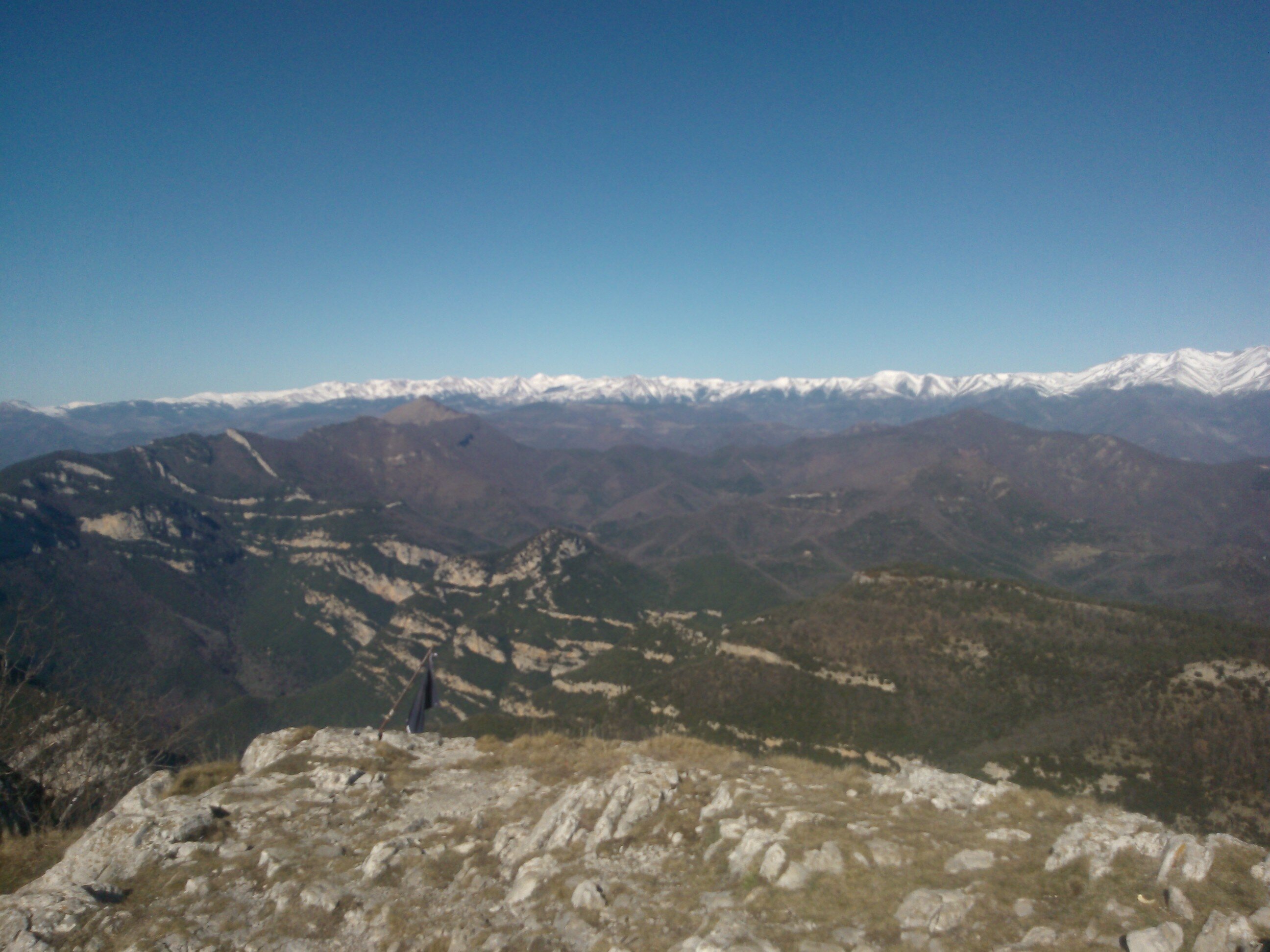 Aleix Jiménez banner