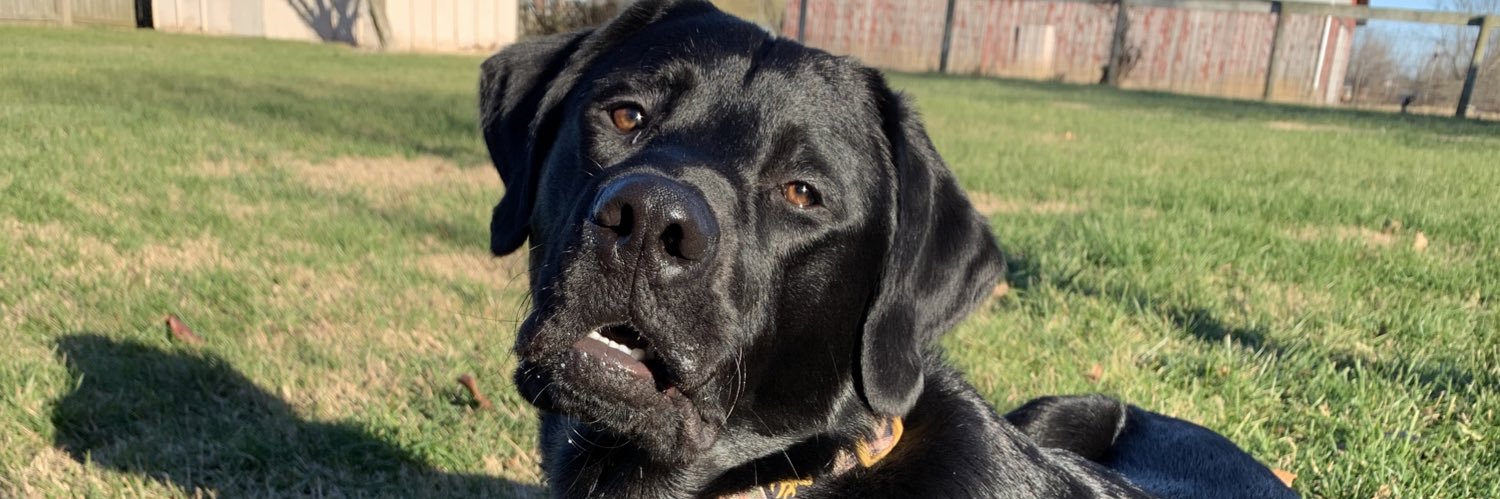 maddy_day11's profile banner image