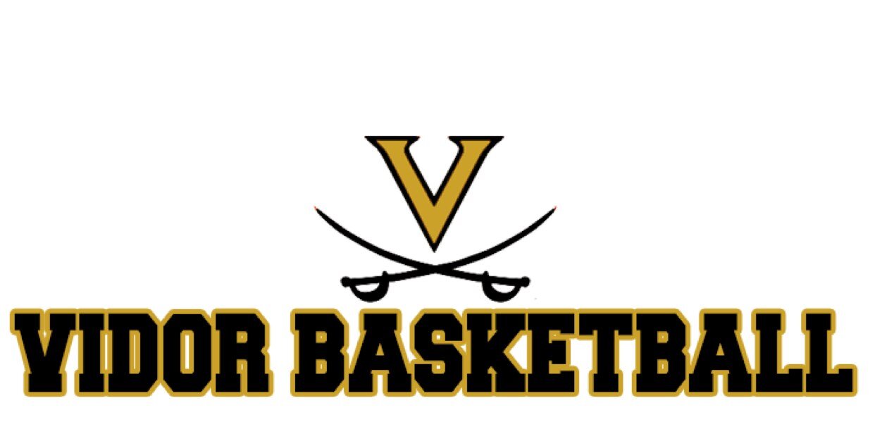 Vidorhoops's profile banner image