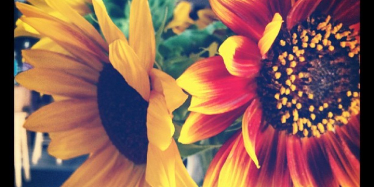 AmericanFlatbread banner